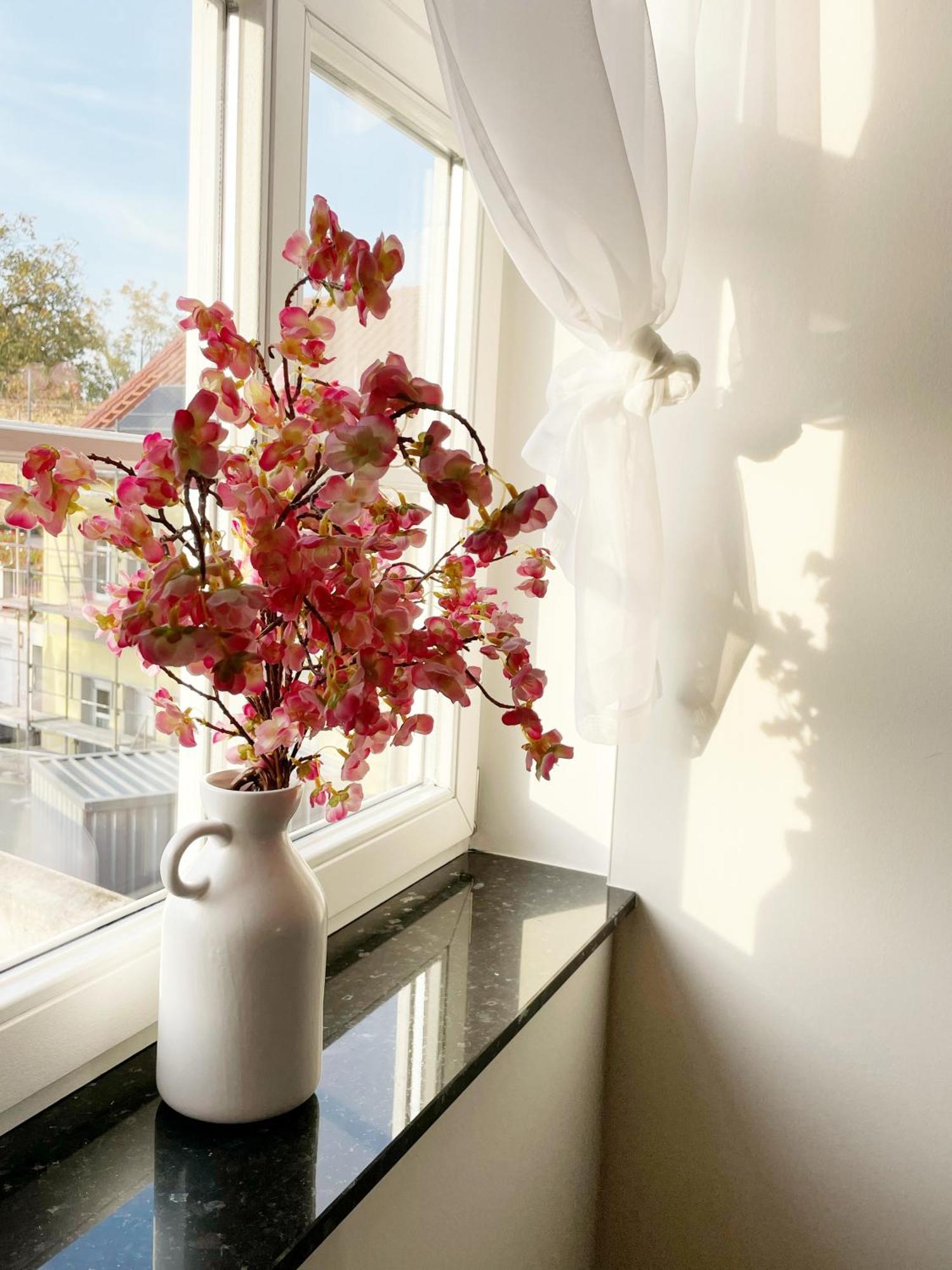 Stadtnah & Naturverbunden Apartment *